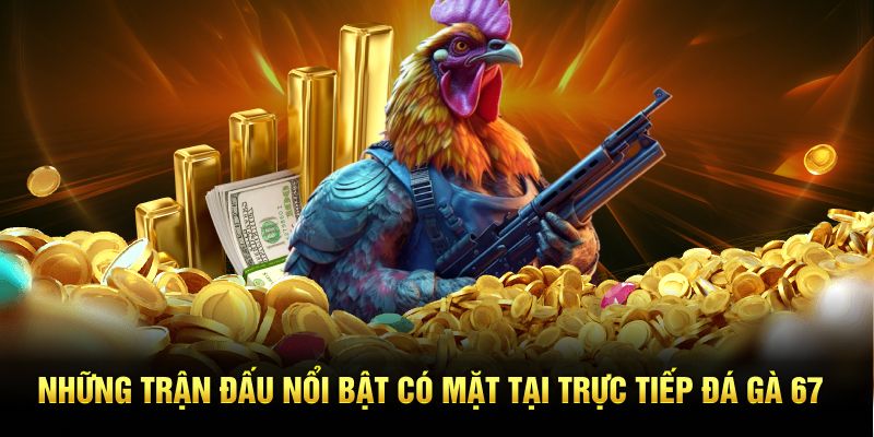 Những trận đấu nổi bật có mặt tại trực tiếp đá gà 67