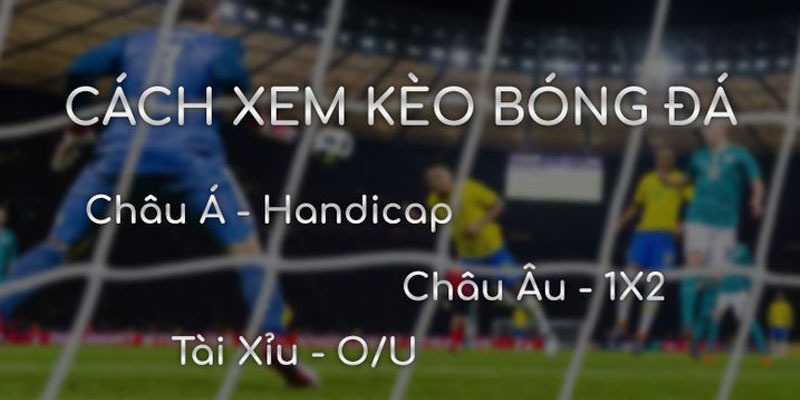 Phương pháp xem kèo đá banh cực hot dành cho người mới